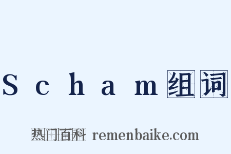Scham组词是什么意思的图片